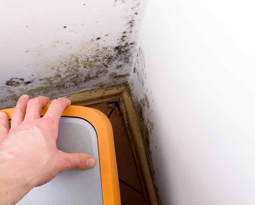 Clean Team Scotland Mould Removal Service