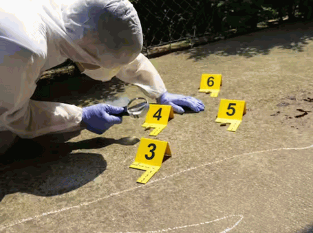 Crime Scenes