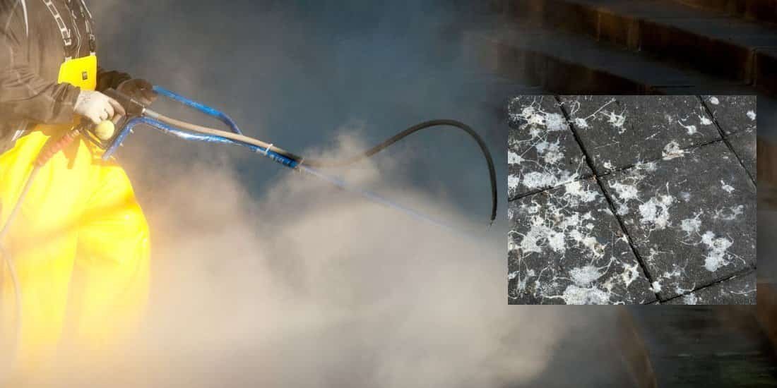 Pigeon Guano Removal  in Lhanbryde